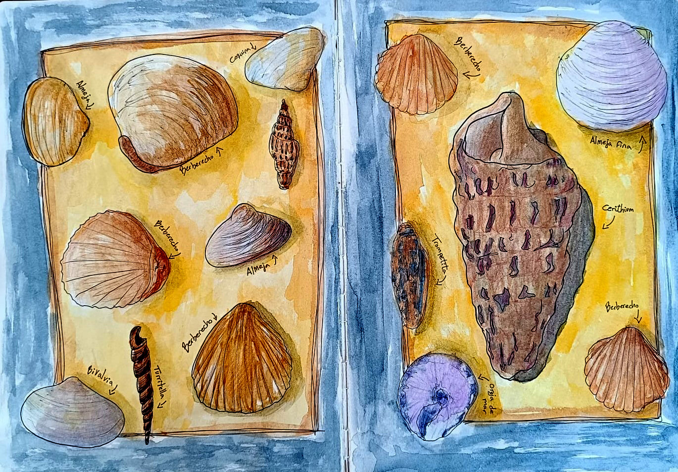 Cuadernos de campo